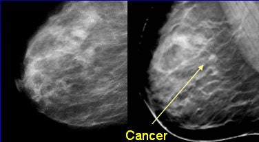 2007 12 19 16 34 27 706