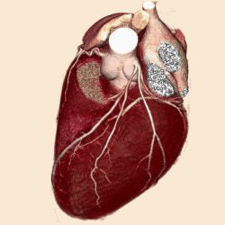 2007 12 21 16 27 55 706