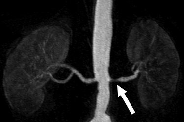 2008 01 09 13 29 47 706