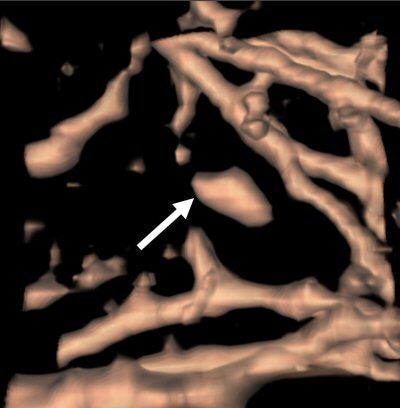 2008 01 21 15 54 20 706