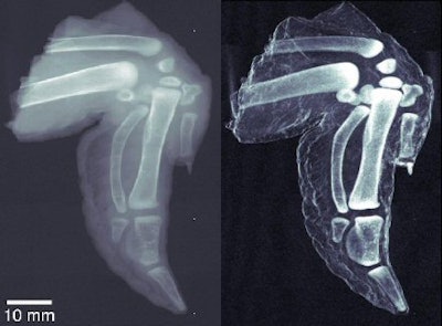 2008 01 29 16 36 56 706