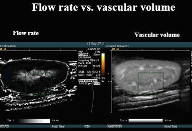 2008 02 11 14 49 36 706