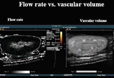 2008 02 11 14 49 36 706
