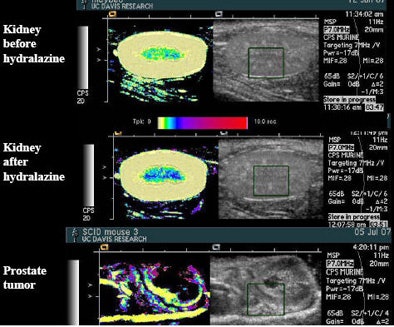 2008 02 11 14 49 51 706