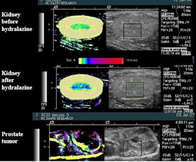 2008 02 11 14 49 51 706