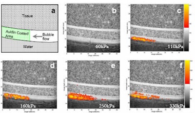 2008 02 11 14 50 33 706