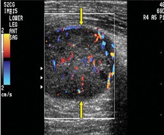 2008 02 21 17 05 08 706