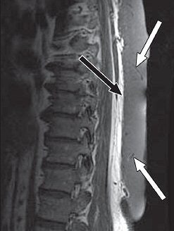 2008 02 21 17 07 34 706