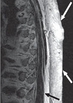 2008 02 21 17 08 47 706