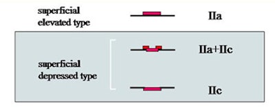 2008 03 09 10 07 54 706