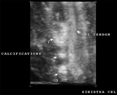 2008 03 16 22 32 48 706