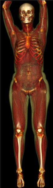 2008 03 20 13 50 32 706