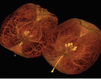 2008 05 12 12 35 38 706