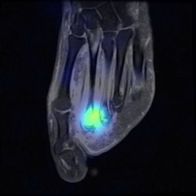 2008 06 16 14 19 45 466 Knesaurek Image Of The Year Resized