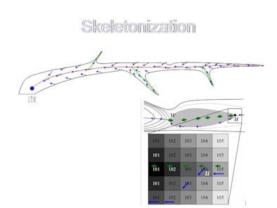 2008 06 27 12 59 51 449 Wang skeletonization Resized