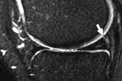 2008 07 07 12 57 37 92 07 07 3034 02b Resized