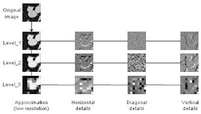 2008 07 30 12 11 52 932 Freedman multiscale2