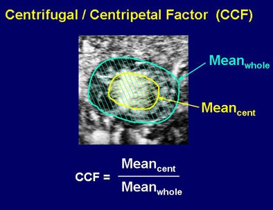 2008 09 23 12 06 32 338 Shiraishi ccftop