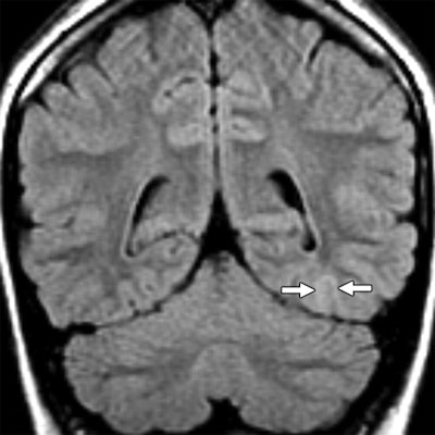 2008 09 30 14 38 22 651 09 07 3933 01a Resized