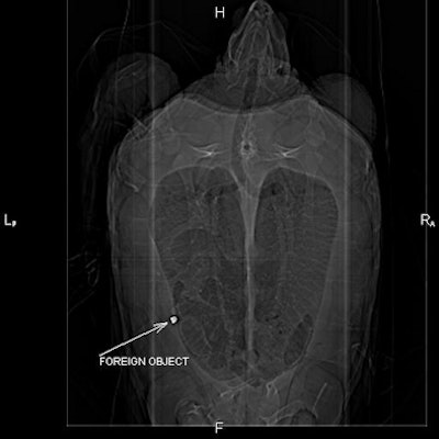 2008 10 16 11 01 27 863 Hemingway Ct Resized