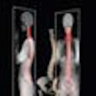 2008 10 21 15 10 59 833 Biospace Thumb Rca 2008