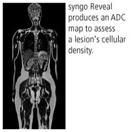 2008 10 30 09 37 13 659 Siemens Mri 2008