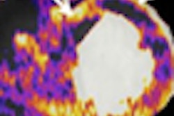2008 11 17 12 19 23 893 Ruzsics thumb 11 08