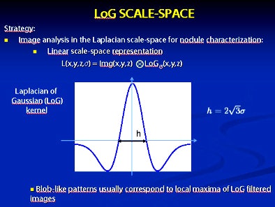2008 11 24 15 01 33 721 Diciotti logscaletop