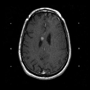 2008 12 18 11 33 18 21 2008 12 23 Gk1