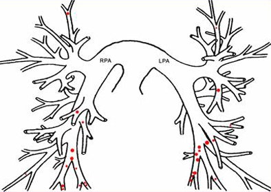 2009 02 03 15 08 23 450 Suh dotlocations