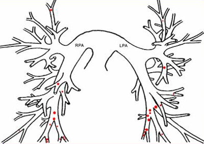 2009 02 03 15 08 23 450 Suh dotlocations