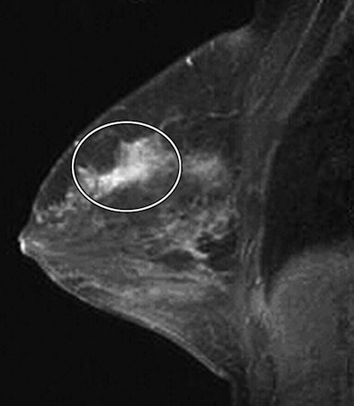 2009 02 10 16 13 58 746 02 07 3827 02b Resized