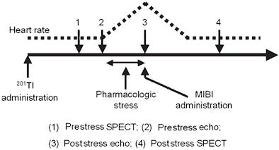 2009 02 11 11 44 59 956 2009 02 06 Walimbe Figure2
