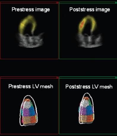 2009 02 11 11 45 01 40 2009 02 06 Walimbe Figure4v2