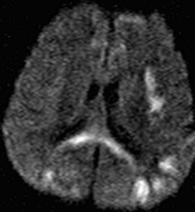 2009 02 24 15 18 51 476 R08dc37g02d 394