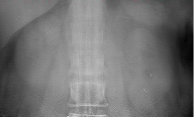 2009 04 01 14 36 01 332 Mermuys1 394