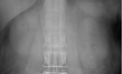 2009 04 01 14 36 01 332 Mermuys1 394