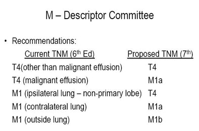 2009 05 28 13 59 23 641 Vlahos mdescriptor
