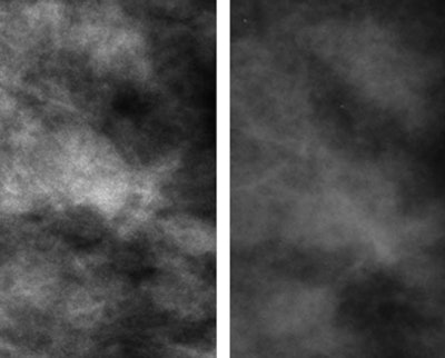 2009 07 24 13 59 06 65 Fig2 Cd 394