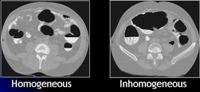 2009 07 28 11 21 19 225 Yoshida inhomogeneous tagging