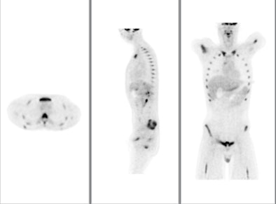 2009 08 12 13 10 08 166 Pet Market Philips Top W 394