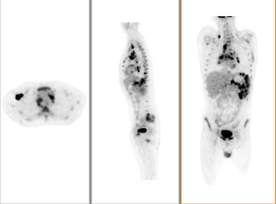 2009 08 12 13 10 12 418 Pet Market Philips Bottom W 394