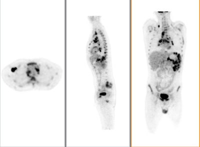 2009 08 12 13 10 12 418 Pet Market Philips Bottom W 394