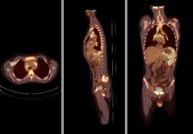 2009 08 12 13 10 14 965 Pet Market Philips Bottom B 394