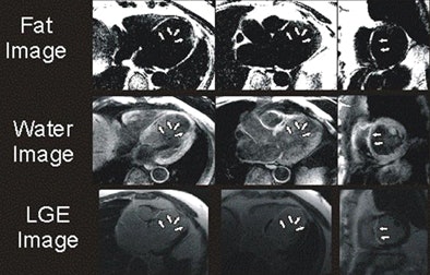 2009 09 24 14 09 21 740 Goldfarb top