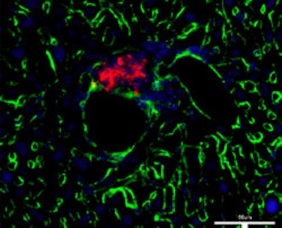 2009 10 23 10 41 53 241 2009 10 29 Ustherapy Bottom 250