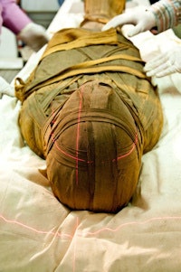 2009 11 18 11 19 19 85 Miyamoto mummyvertical 200