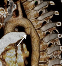 2010 01 13 14 35 41 114 3d Labs 211