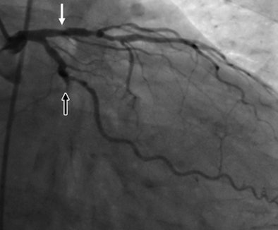 2010 02 05 17 45 41 622 Rocha2c 394