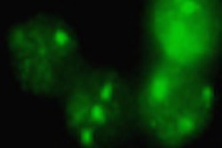 2010 04 02 13 04 23 658 Kufner thumb 04 10